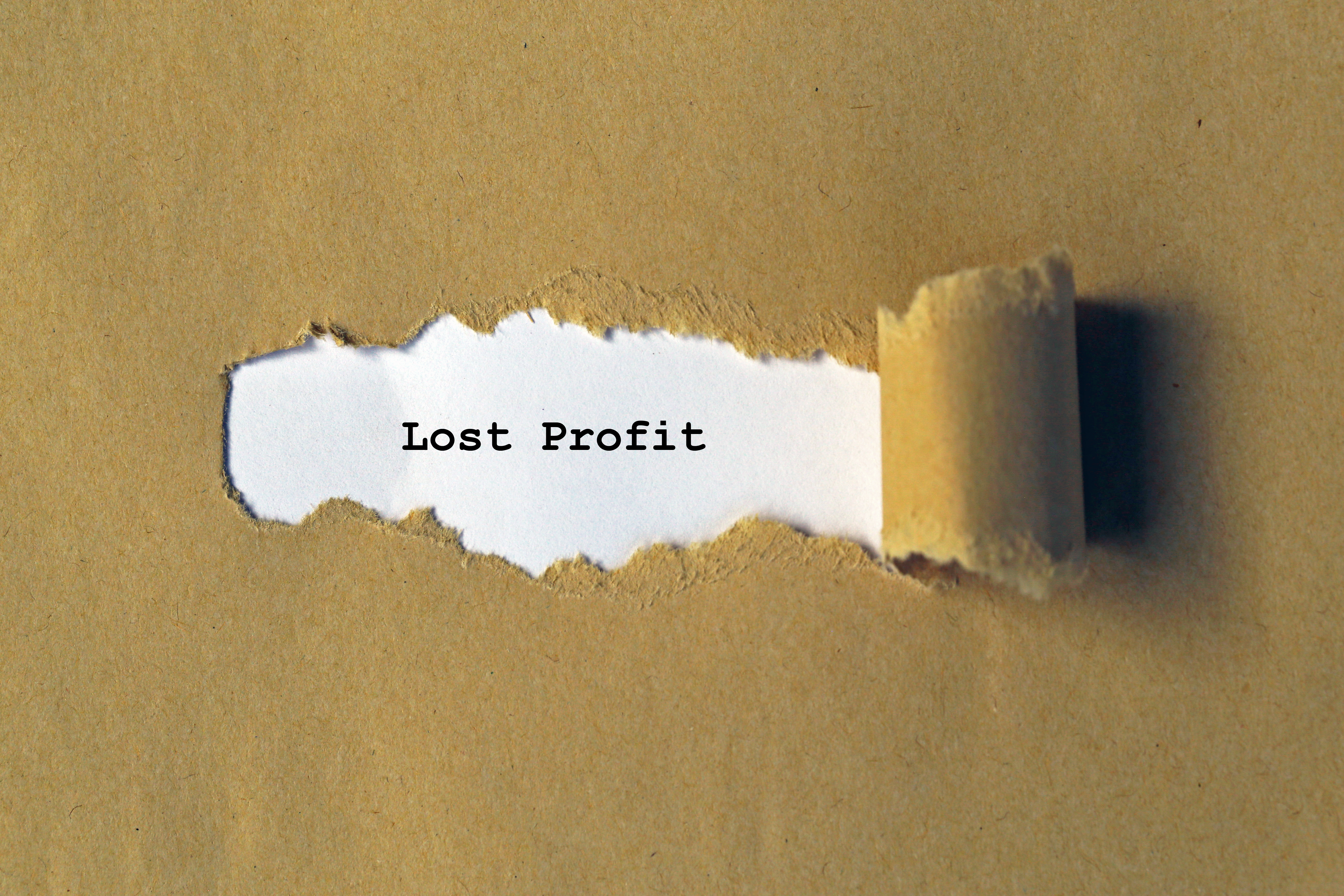 Picture of an image saying lost profit